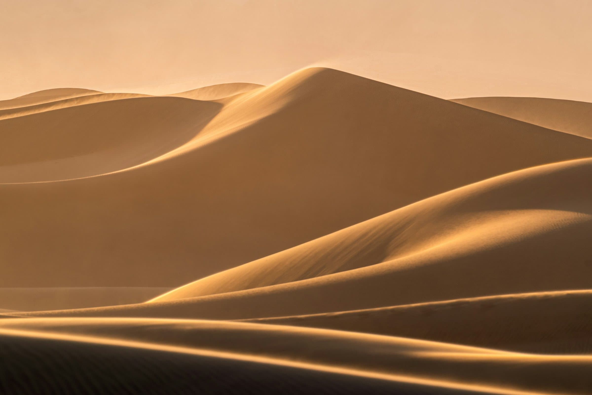 Desert sand dunes in warm evening light